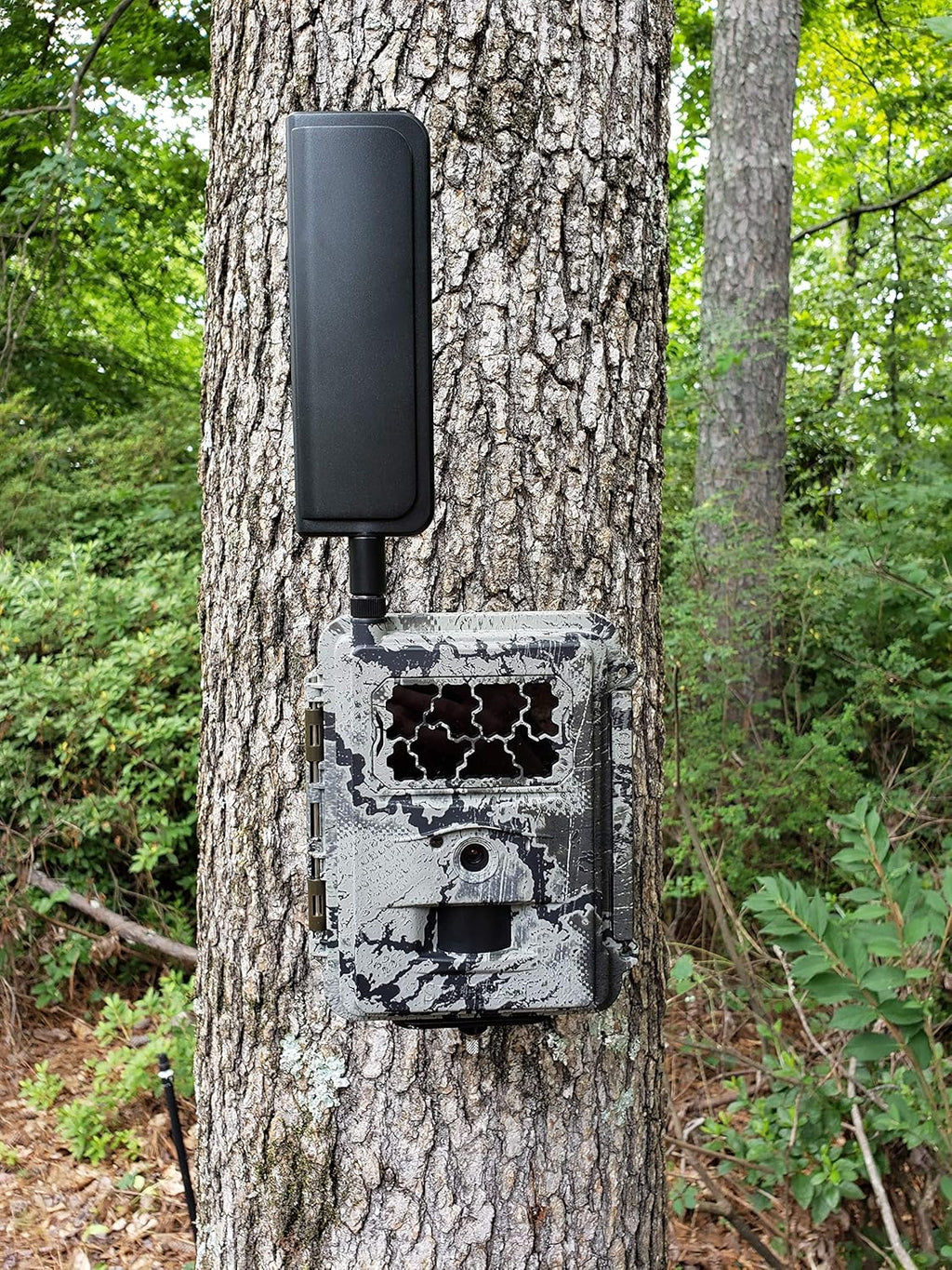 Verizon 4G LTE Wireless Trail Camera with Batteries, SD Card, Card Reader, and Mount A5490
