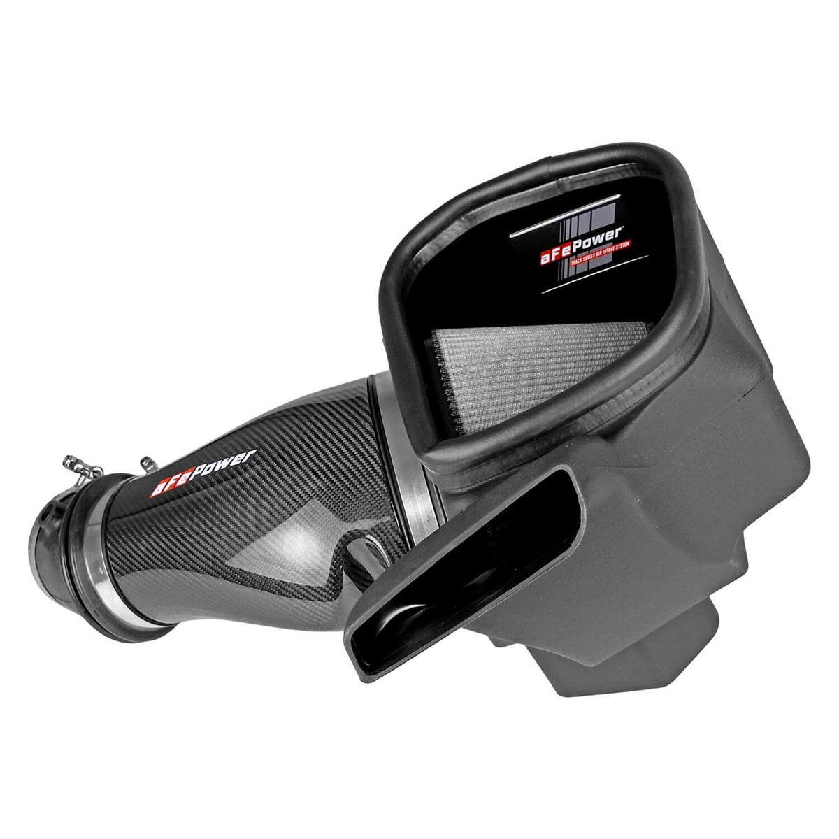 Carbon Fiber Air Intake System R310