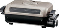 Metallic Gray Fish Roaster R655814