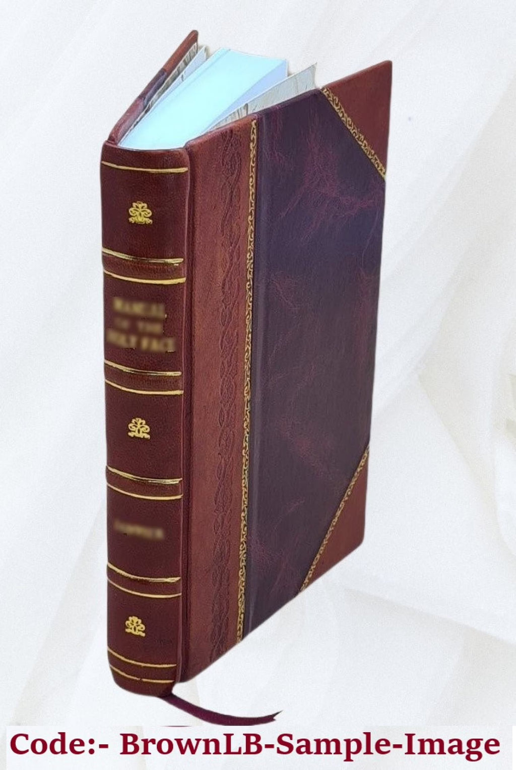 The AEneid of Virgil 1900 Leather Bound L240