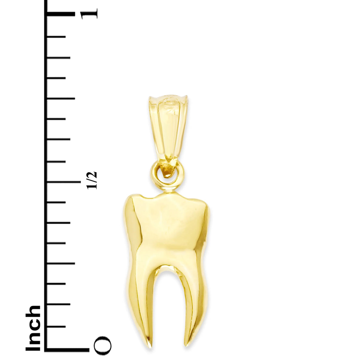 14k Solid Gold Human Tooth Pendant W539