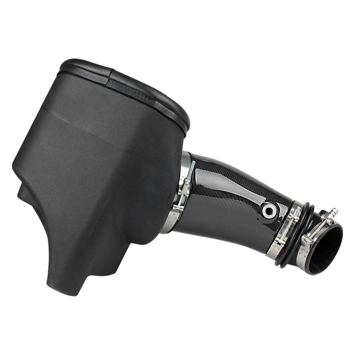 Carbon Fiber Air Intake System R310