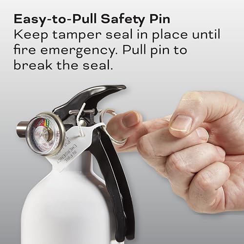 3.2 Lbs. Dry Chemical Auto Fire Extinguisher P8201
