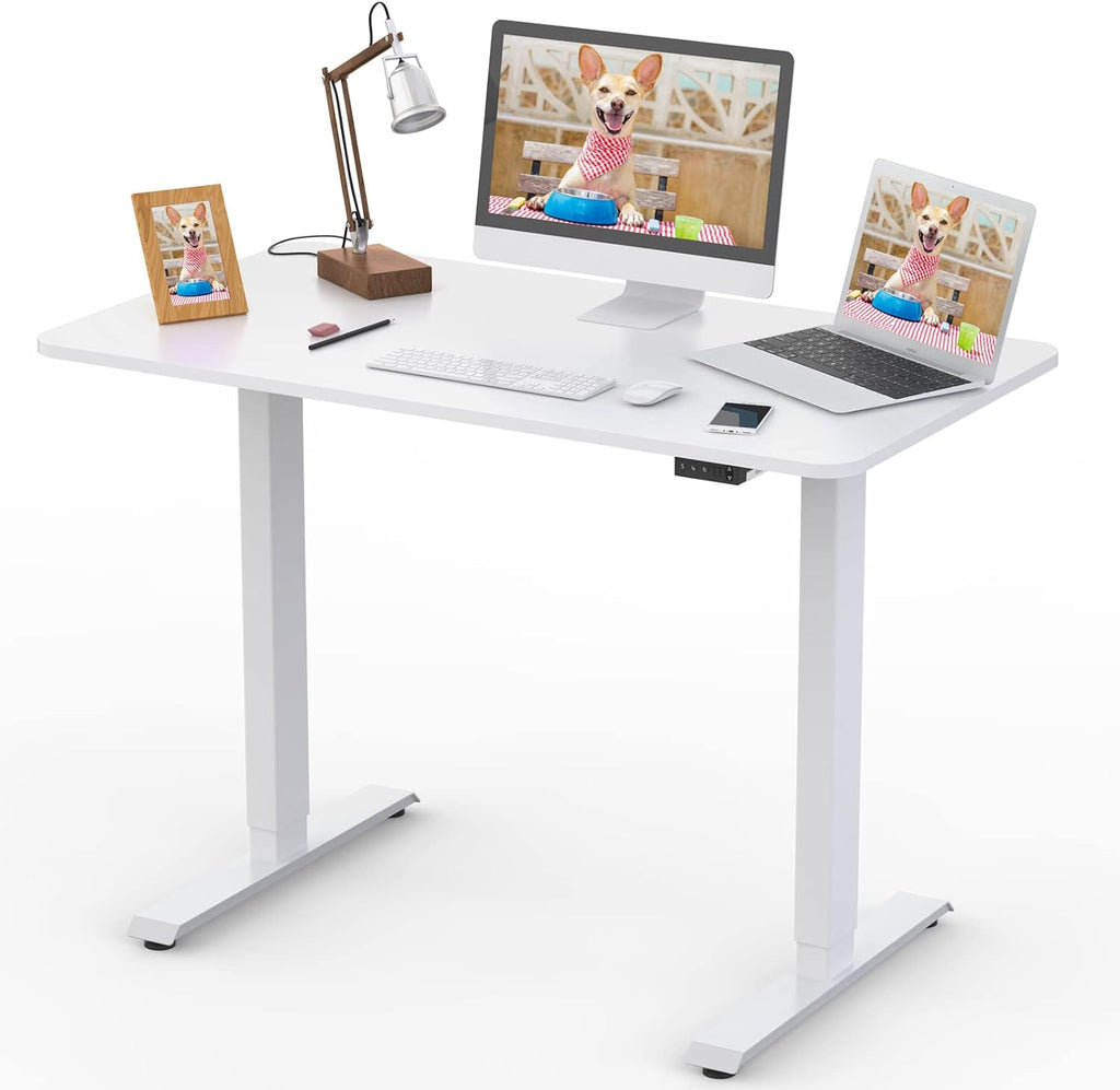 Electric Height Adjustable Standing Desk, Grey 48 x 24 Inches Sit Stand Up Desk with Memory Controller T694511