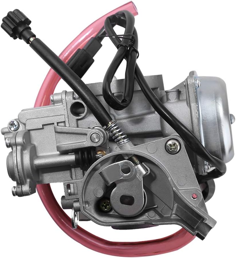Carburetor Replacement Pack of 2 D79236