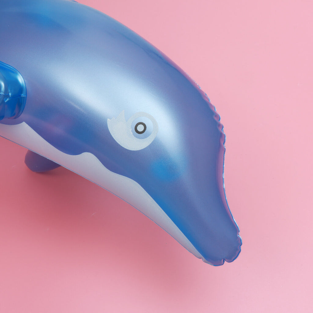 Inflatable Dolphin Bath Toy (Blue) L847
