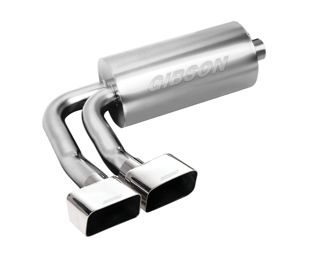Cat-Back Dual Split Exhaust System A1465