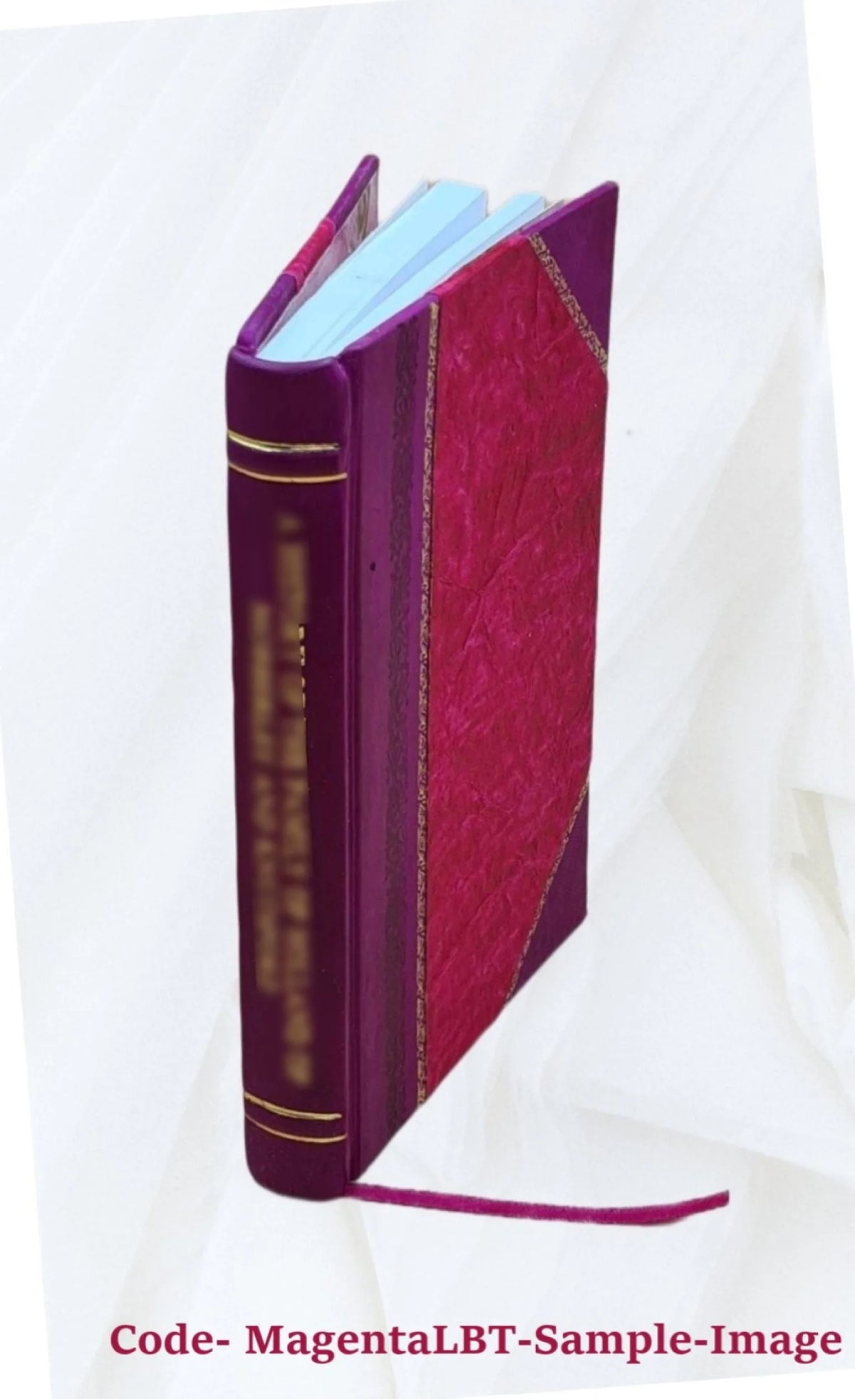 Leather Bound Book U533322