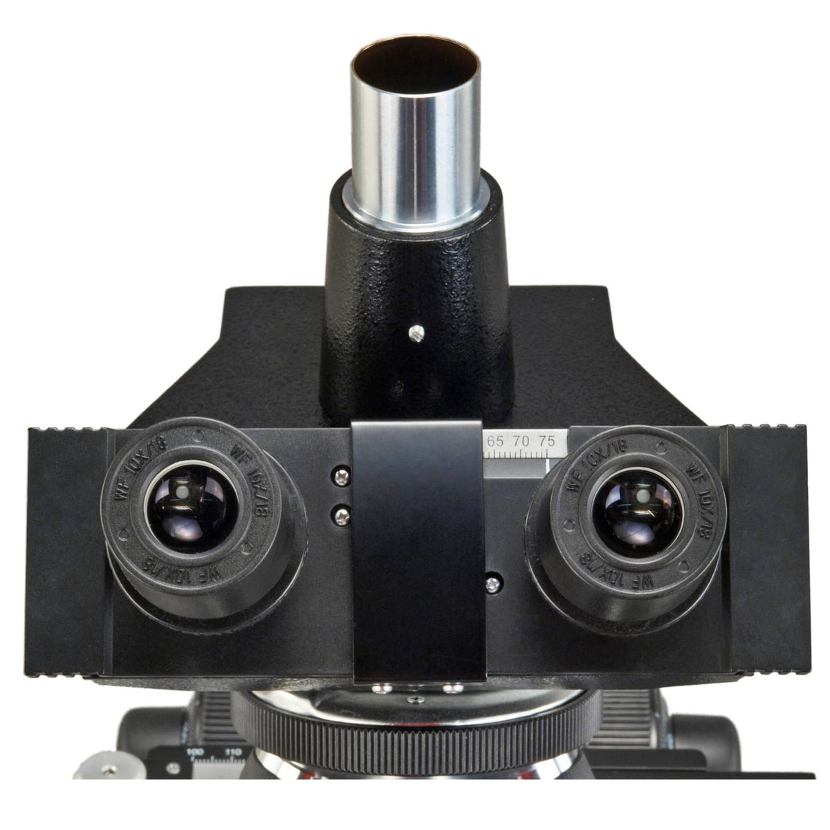 40X-2500X 5MP Digital Compound Trinocular LED Biological Microscope I5464