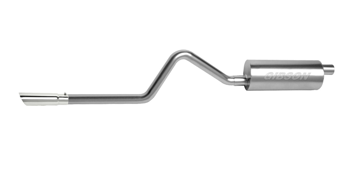 Cat-Back Dual Split Exhaust System A1465