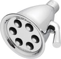 Polished Chrome Shower Head, Pack of 2 S49665