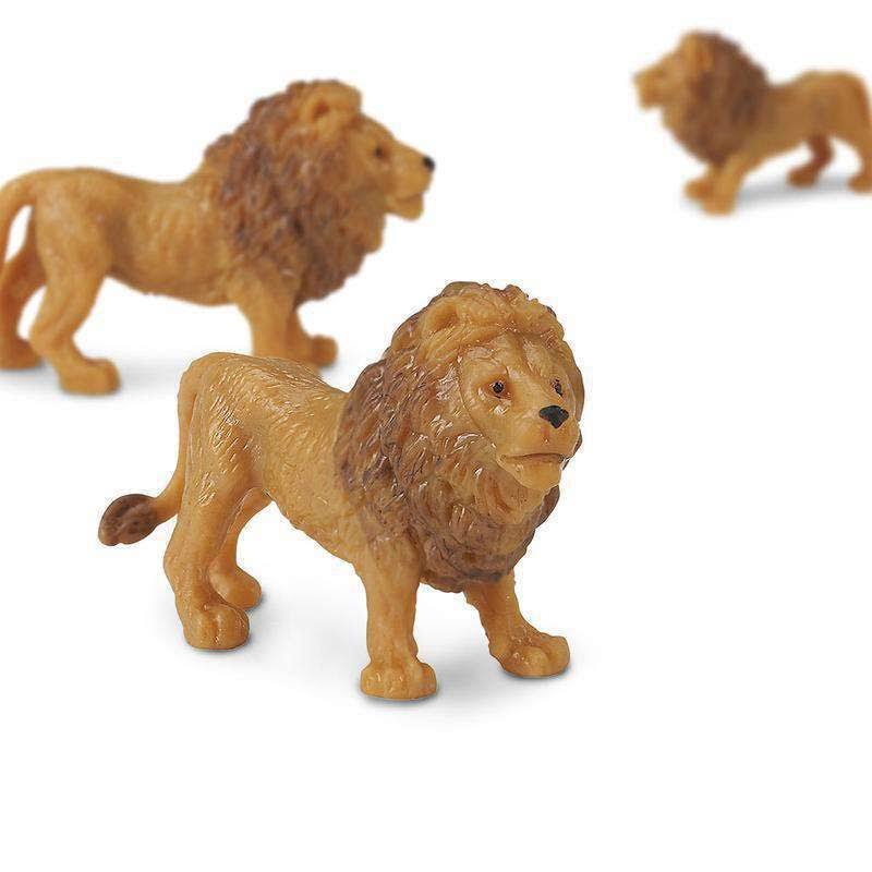 Cheetahs D1720
