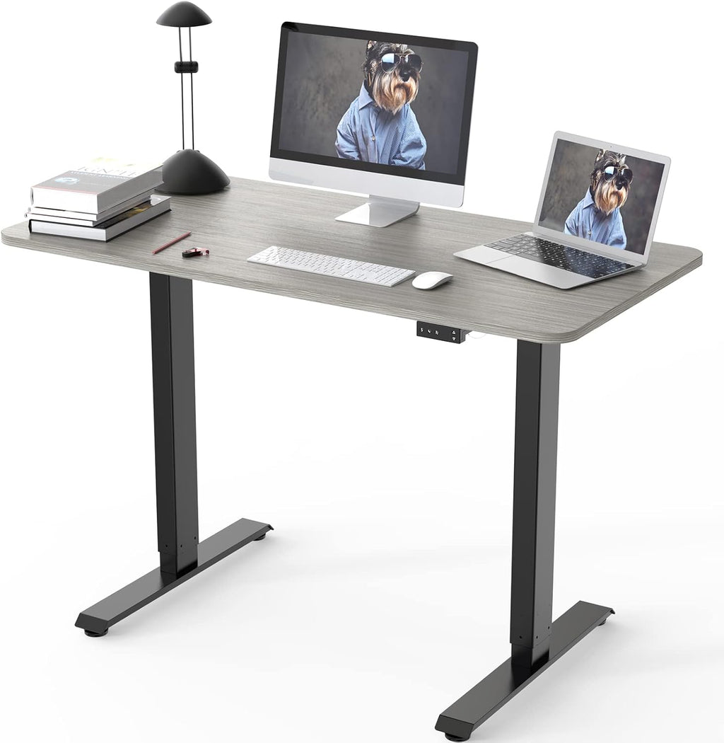Electric Height Adjustable Standing Desk, Grey 48 x 24 Inches Sit Stand Up Desk with Memory Controller T694511