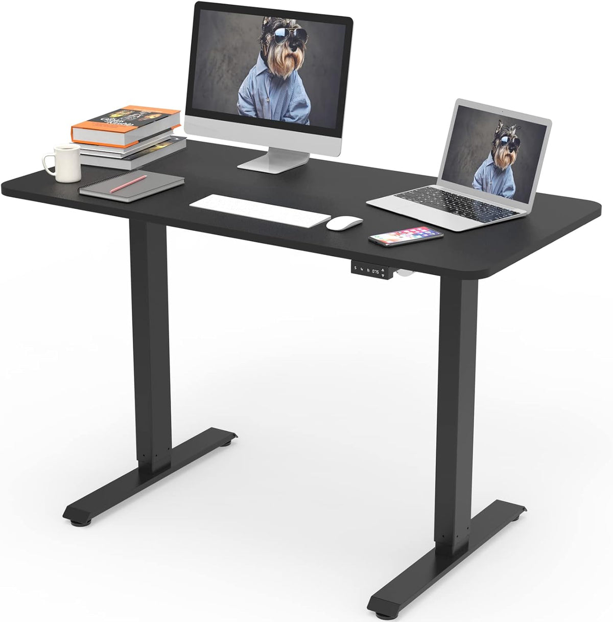 Electric Height Adjustable Standing Desk, Grey 48 x 24 Inches Sit Stand Up Desk with Memory Controller T694511
