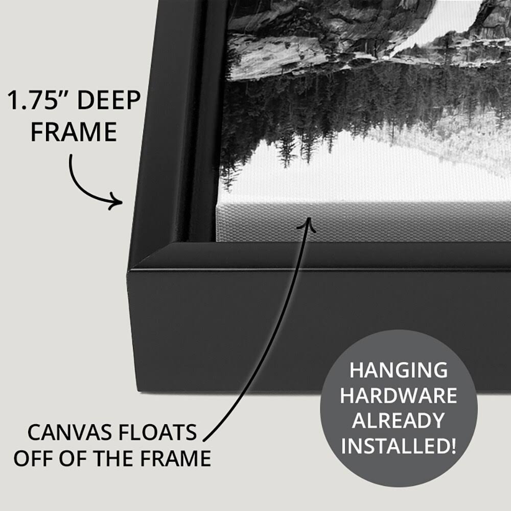 Black Float Frame Canvas Art - 24 x 30 J529