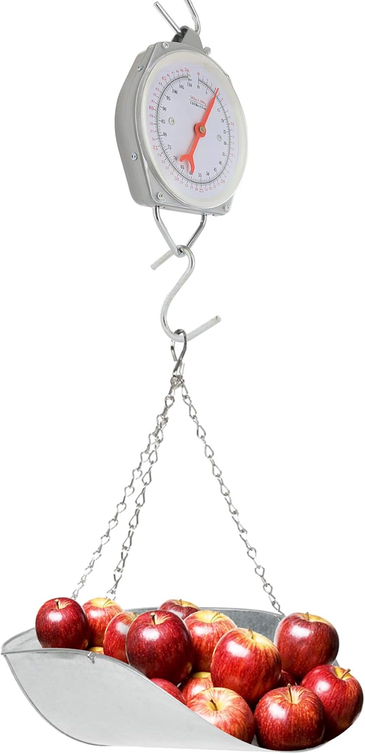 Hanging Mechanical Dial Scale Z792