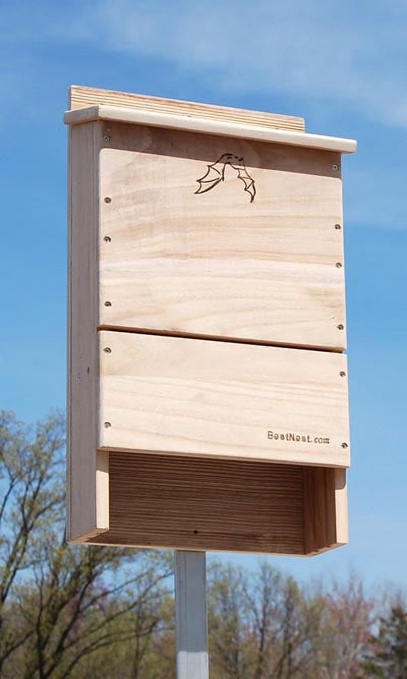Triple-Celled Bat House S9193