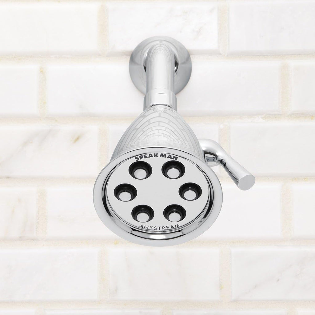 Polished Chrome Shower Head, Pack of 2 S49665