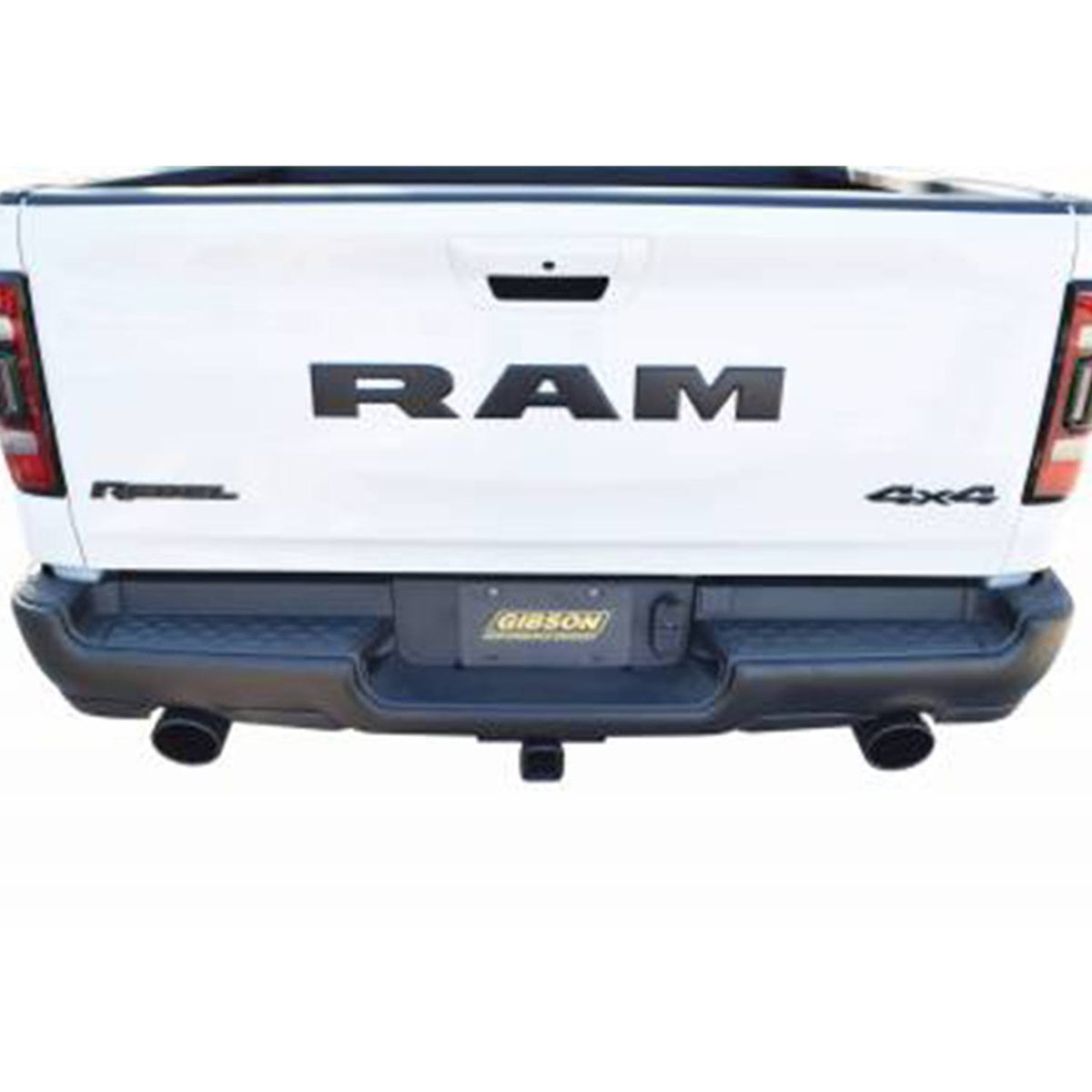 Cat-Back Dual Split Exhaust System A1465