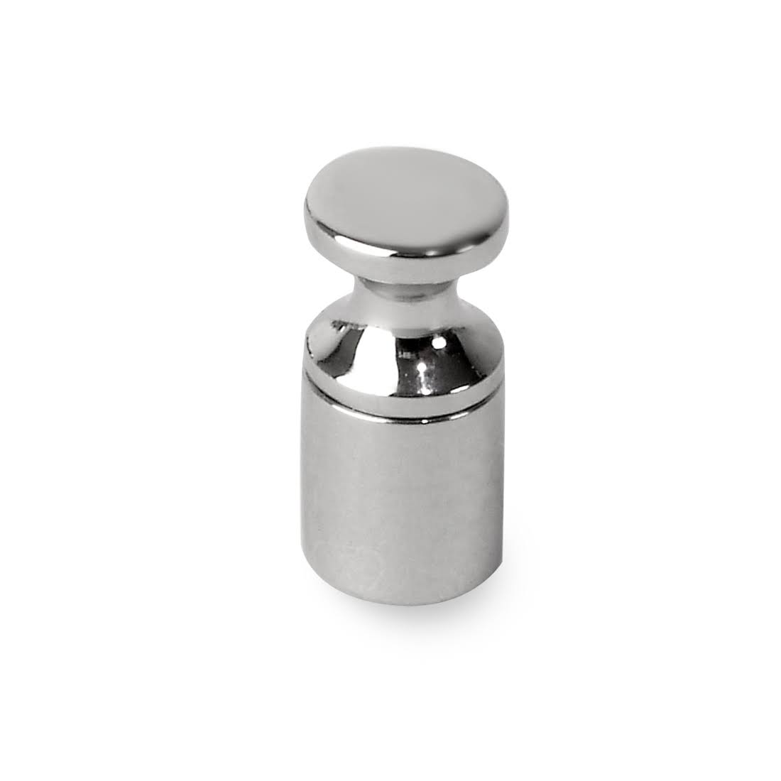 Precision Analytical Class 1 Weight A898211