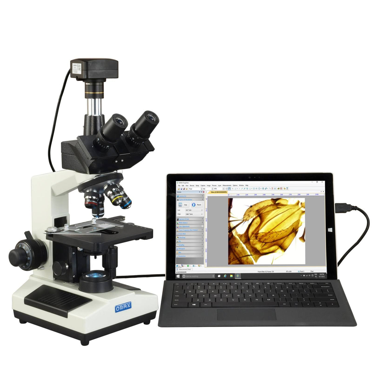 40X-2500X 5MP Digital Compound Trinocular LED Biological Microscope I5464