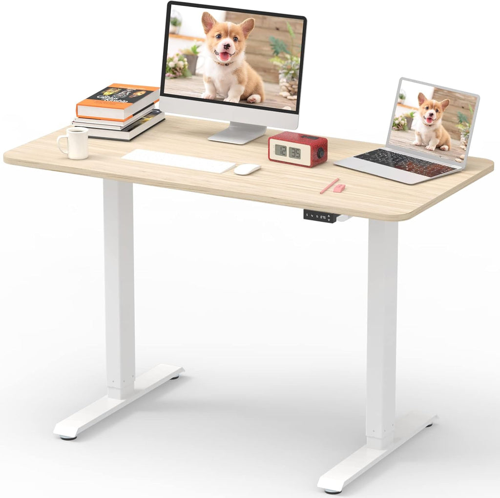 Electric Height Adjustable Standing Desk, Grey 48 x 24 Inches Sit Stand Up Desk with Memory Controller T694511