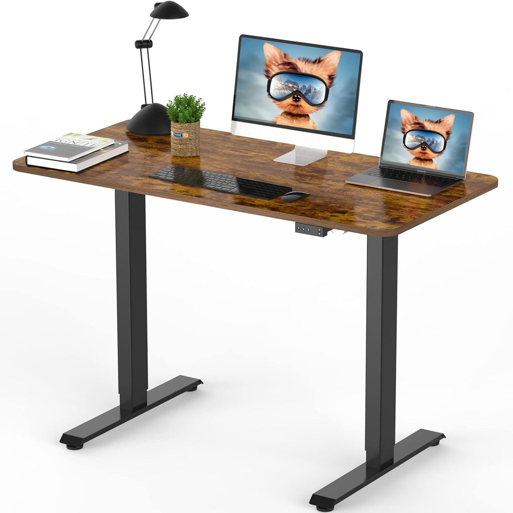 Electric Height Adjustable Standing Desk, Grey 48 x 24 Inches Sit Stand Up Desk with Memory Controller T694511