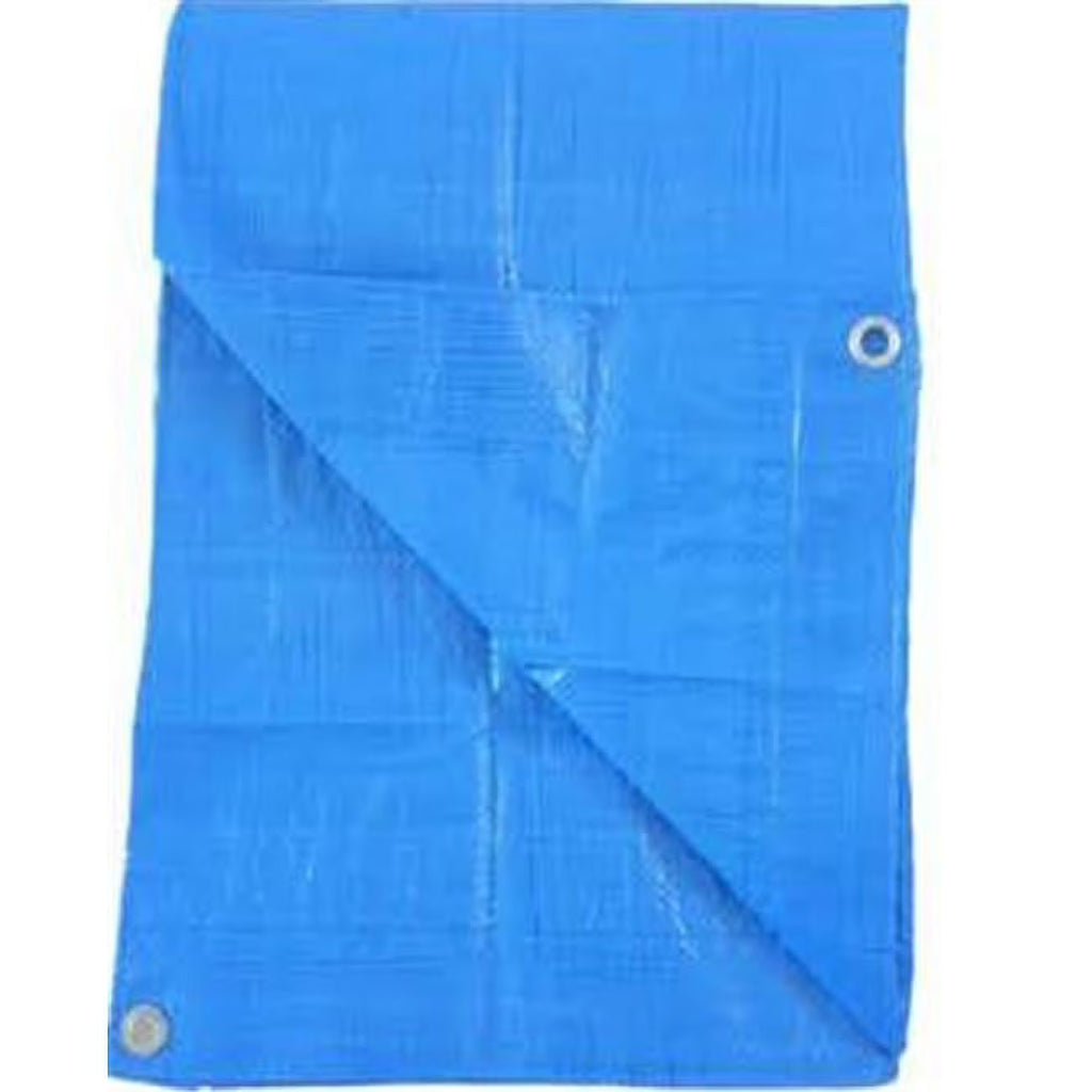 6 x 8 ft. Blue Poly Tarp E15572