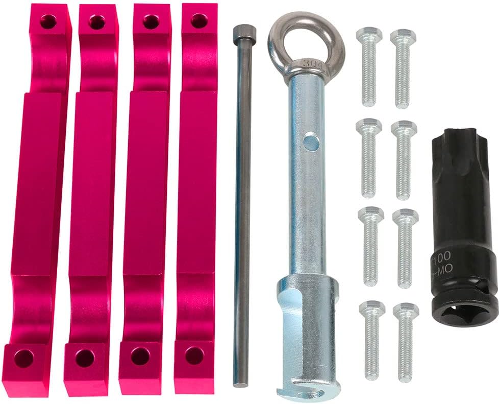 Engine Timing Tool Kit Set with T100 and Injector Removal Puller Tool Pack of 2 Y2537
