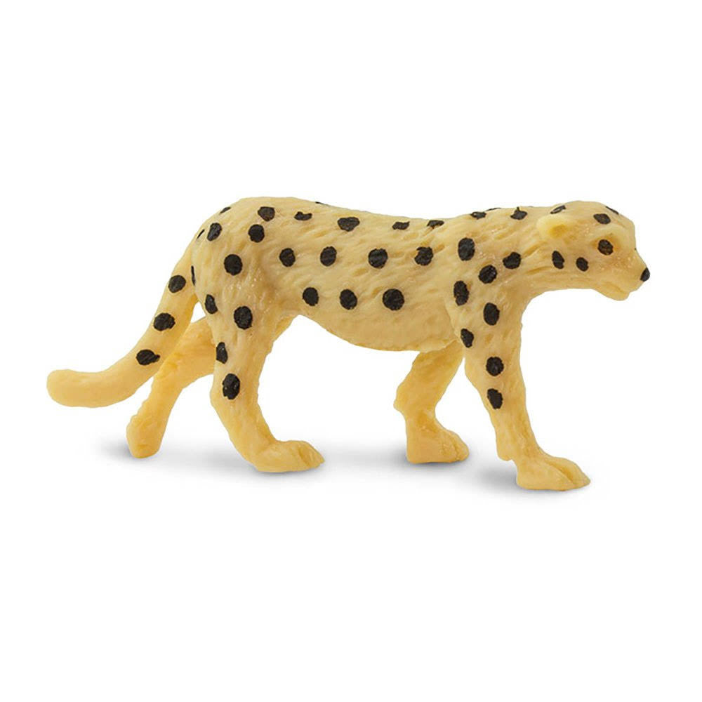 Cheetahs D1720
