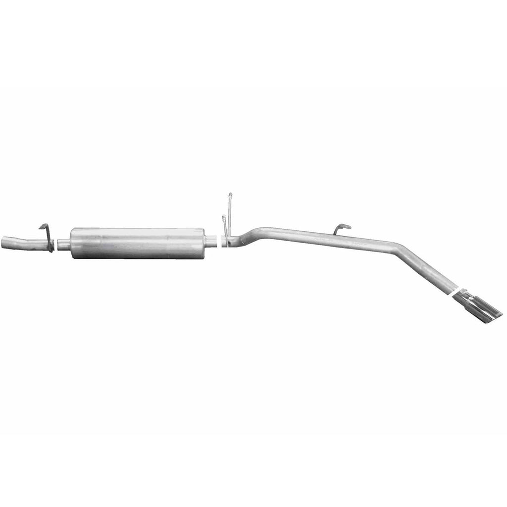 Cat-Back Dual Split Exhaust System A1465