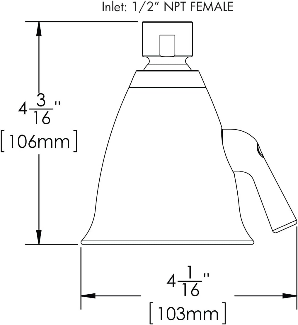 Polished Chrome Shower Head, Pack of 2 S49665