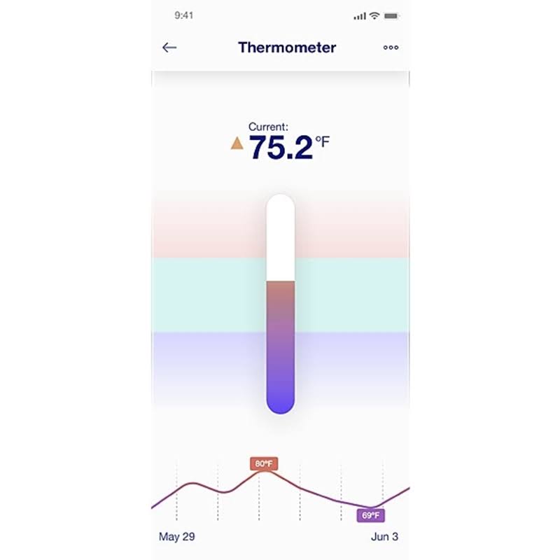 Pond Thermometer K191591